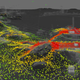 Illustration for article titled Heat Maps Of Battlefield V Are Beautiful